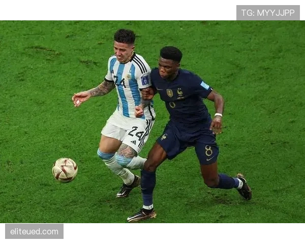 恩佐转会费是否溢价：数据表现与市场价值对比分析