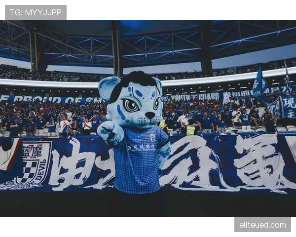 上海申花关键战表现波动问题逐步反映，稳定性面临考验