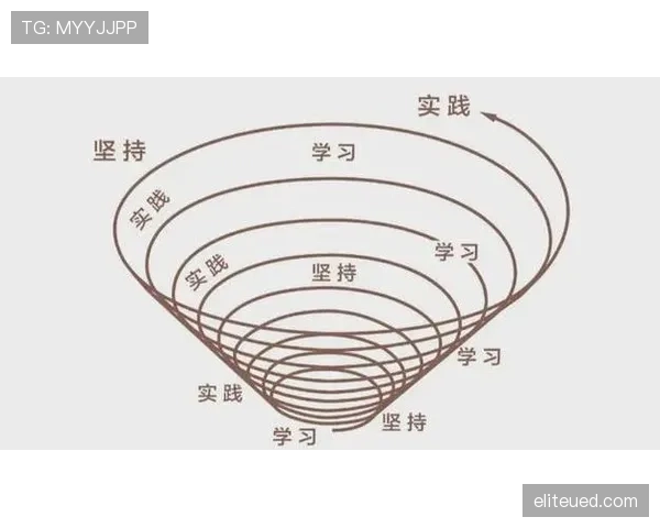 巴尔科拉上限解析：关键成长维度与进阶路径